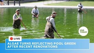 Celebrity Live: Algae turns Lincoln Memorial Reflecting Pool green in Washington, DC, after Trump renovations Net Worth