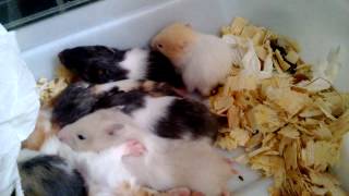WP 20130919 010