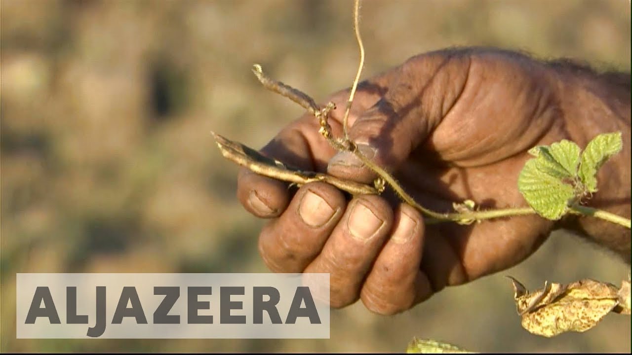 يزعم مزارعون أكراد أن إيران خفضت إمدادات المياه بسبب تصويت الانفصال.