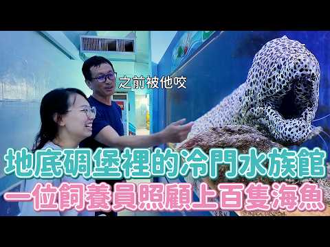 高雄核彈打來都不怕的地下碉堡水族館！說好海洋世界為什麼有招財紫水晶＋GG石啦～～平日還能蹭冰吃太讚了吧！！海洋奇珍園