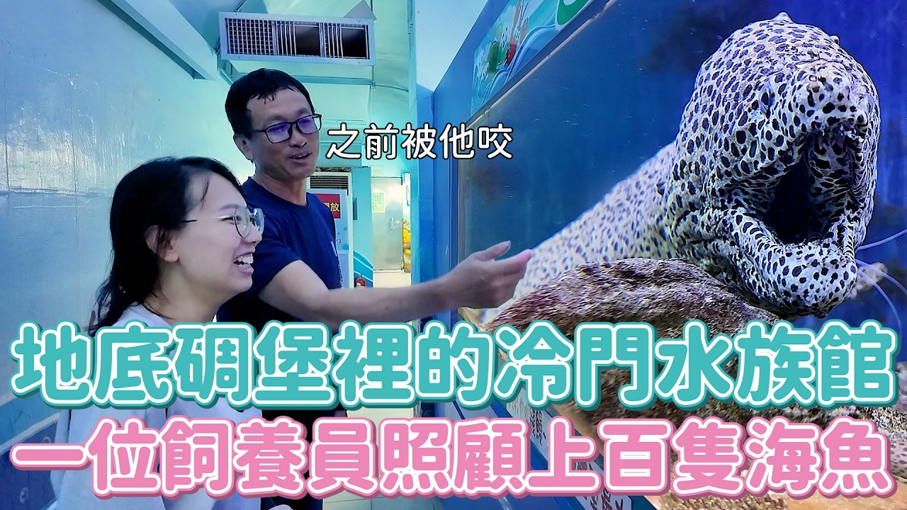高雄核彈打來都不怕的地下碉堡水族館！說好海洋世界為什麼有招財紫水晶＋GG石啦～～平日還能蹭冰吃太讚了吧！！海洋奇珍園