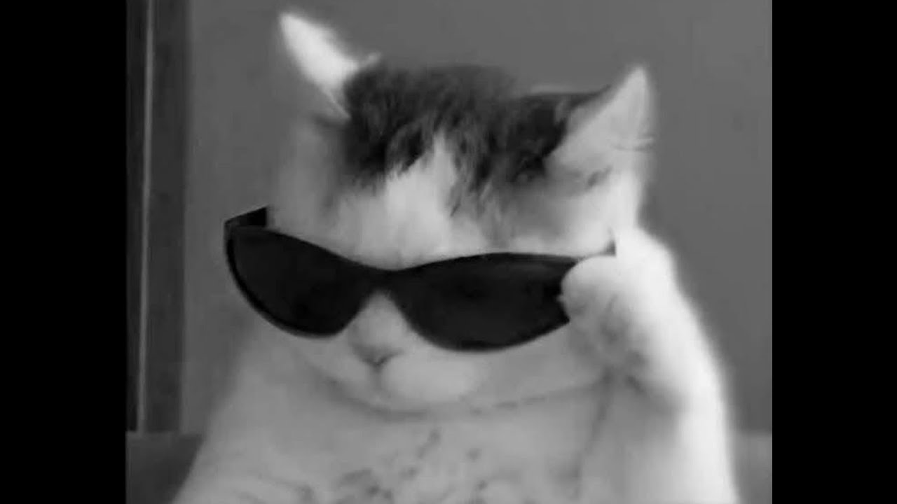 Bad boy stream✌️😎