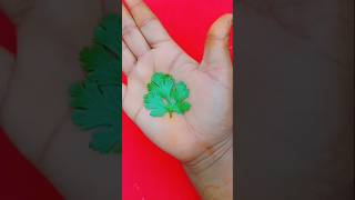 Beginner से Pro बनो 😍 Leaf Mehndi Design Easy Tutorial #shorts #mehndi #art