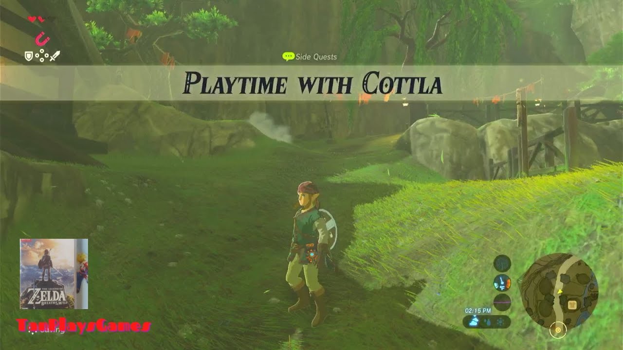 Playtime with Cottla Walkthrough - The Legend of Zelda Breath of the Wild.