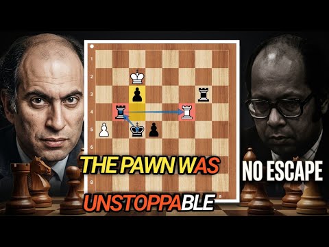 THE PASSED PAWN THAT DECIDED EVERYTHING! | Karner vs Tal 1967