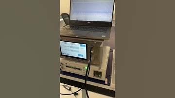 Pulsatile flow sensor #pulsatile #hemodynamic #flowsensor #flowrate #heartvalve #blood #vessel