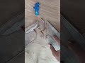 easy to practice angles #woodworking #tricks #diy