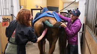 Varsa Tulee Taloon Osa 5 Kiimakontrolli Ja Pettymys