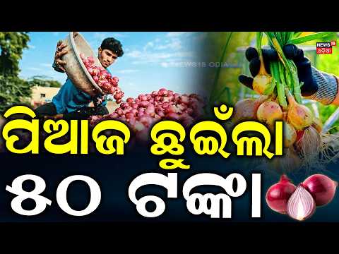 ପିଆଜ ରେଟ୍ ଆକାଶ ଛୁଆଁ | Onion Price Hike in Odisha | Onion Reaches ₹50/Kg | Odia News | Price Hike