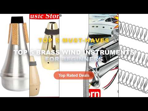 Why Everyone Is Buying Top 5 Brass Wind Instruments For Beginners - 3pcs Trumpet Piston Valve Spring