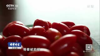 法官解案·为争房外婆被死亡【法律讲堂  20171003】