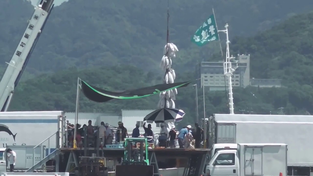 7月10日 第58豊進丸のマグロツリー YouTube