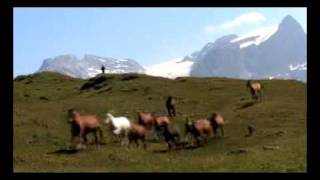 Wätterschmöcker - Pferde Auf Der Silberen.mp4