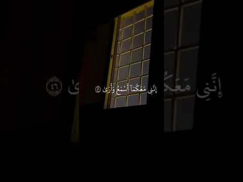 اللهم انزل السكينة والطمأنينة على أهل غزة و فلسطين بدون موسيقى قرآن