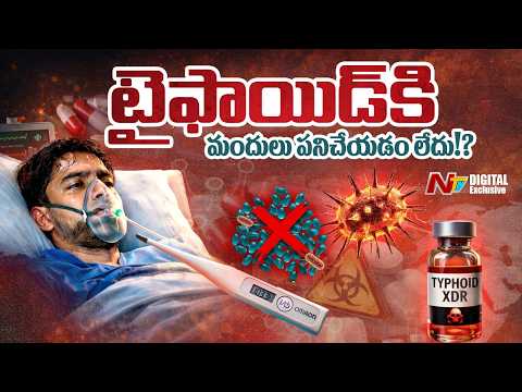 టైఫాయిడ్ కి మందులు పని చేయడం లేదు: Typhoid Rapidly Gaining Antibiotic Resistance | Explained | NTV - NTVTELUGU