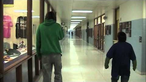 A World Without Danger (Fan Made Music Video)