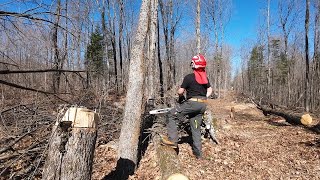 751 Clearing The Widow Makers. IGLAND 3501 Skidding Winch. STIHL. Kubota. Hung Trees.   4K by GP Outdoors 4,742 views 3 weeks ago 16 minutes