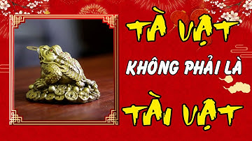 Cóc ba chân | Cóc ngậm tiền | Thiềm Thừ | Là TÀ vật không phải TÀI vật