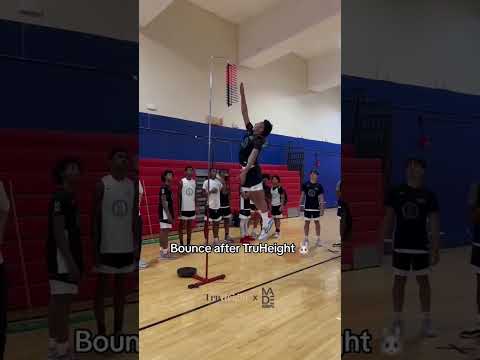 Bounce after taking TruHeight 😱🐰 #shorts #truheighttuesdays