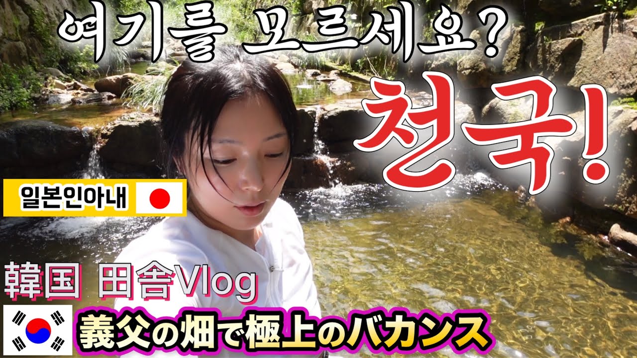 시댁텃밭에서 시아버지와 신나게 노는 일본인며느리/韓国の田舎で義父と楽しく過ごす日本人妻