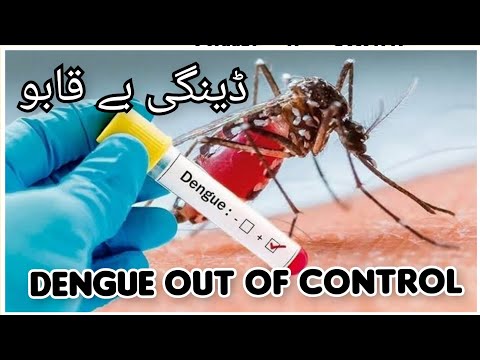 Dengue Out of Control in Gujrat.