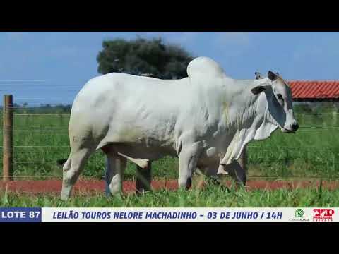 LOTE 87   DIM 6057 1 MP4