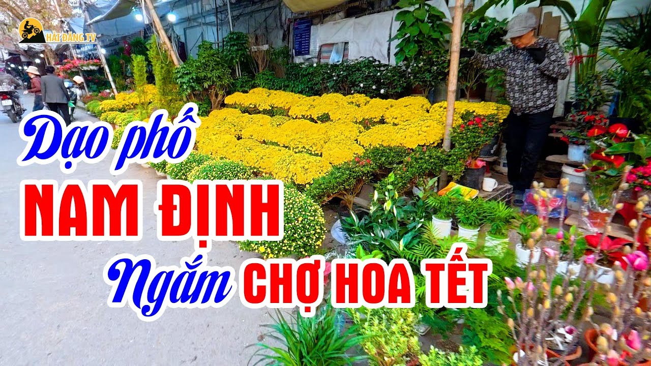 Dạo phố Nam Định ngắm Chợ Hoa Tết