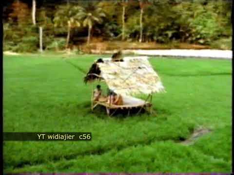 Station ID RCTI 1996 versi saung sawah