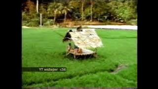 Station ID RCTI 1996 versi saung sawah