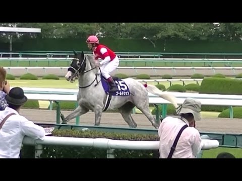 第５６回 宝塚記念ゴールドシップ本馬場入場