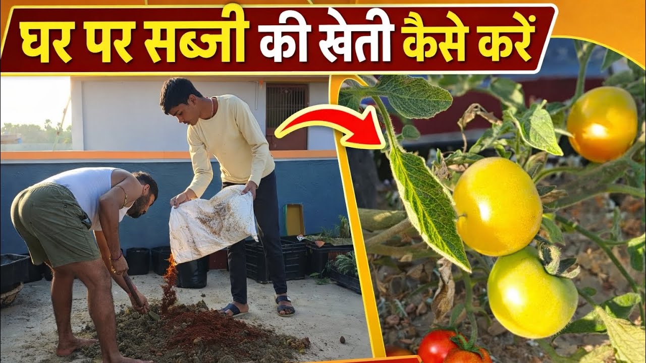 Ghar Par Sabji Ki Kheti Kaise Kare | Rooftop Gardening Full Guide | Grow Vegetables at Home