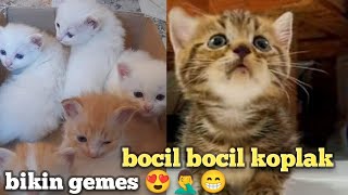 Bocil Bocil Koplak Bikin Gemes