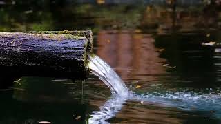 5 Minute Relaxing Water Sounds