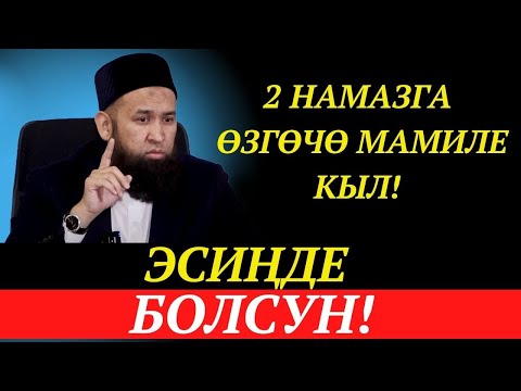 Video: Өзгөчө мамиле