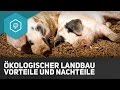 Organic Farming Advantages And Disadvantages Agriculture In Industrialized Countries 7 