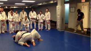 Harlem Shake Brazilian Jiu-Jitsu Remake by Idriz Rear Naked Choke