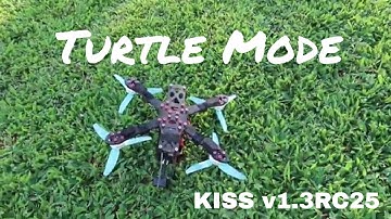 Kiss 1.3 RC25 Turtle Mode demo