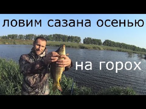 В НУЖНОЕ ВРЕМЯ НА НУЖНОМ МЕСТЕ, ЛОВЛЯ СУДАКА В НУЖНОЕ ВРЕМЯ НА НУЖНОМ МЕСТЕ, ЛОВЛЯ СУДАКА