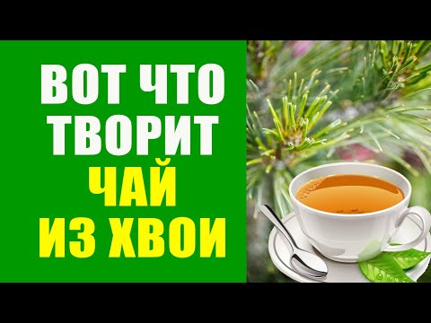 Видео: У какой сосны три иглы?