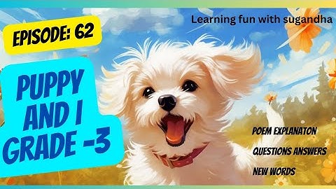 puppy and I | poem | ncert | grade 3 | English language | Explanation | unit 7