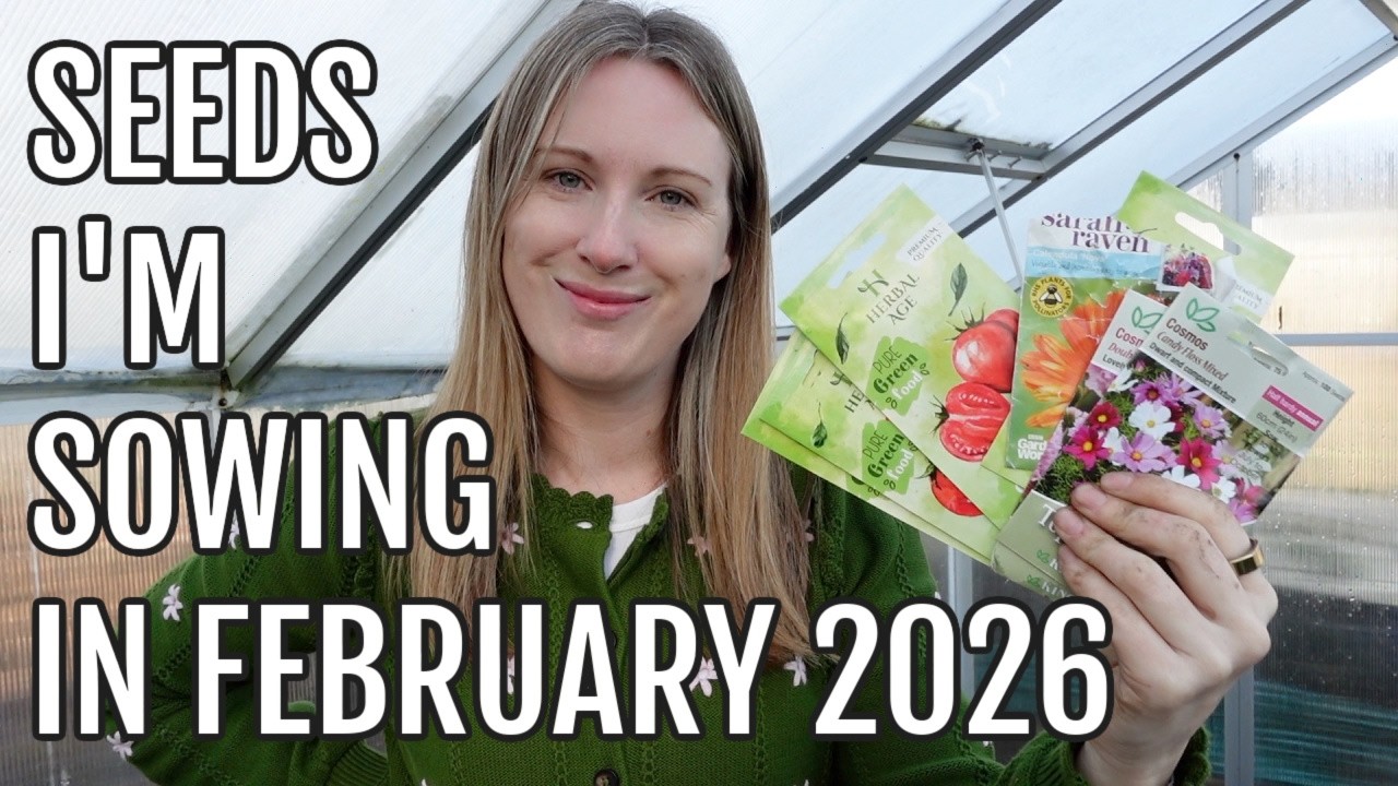 SEEDS IM SOWING IN FEBRUARY AT MY ALLOTMENT PLOT / ALLOTMENT GARDENING UK