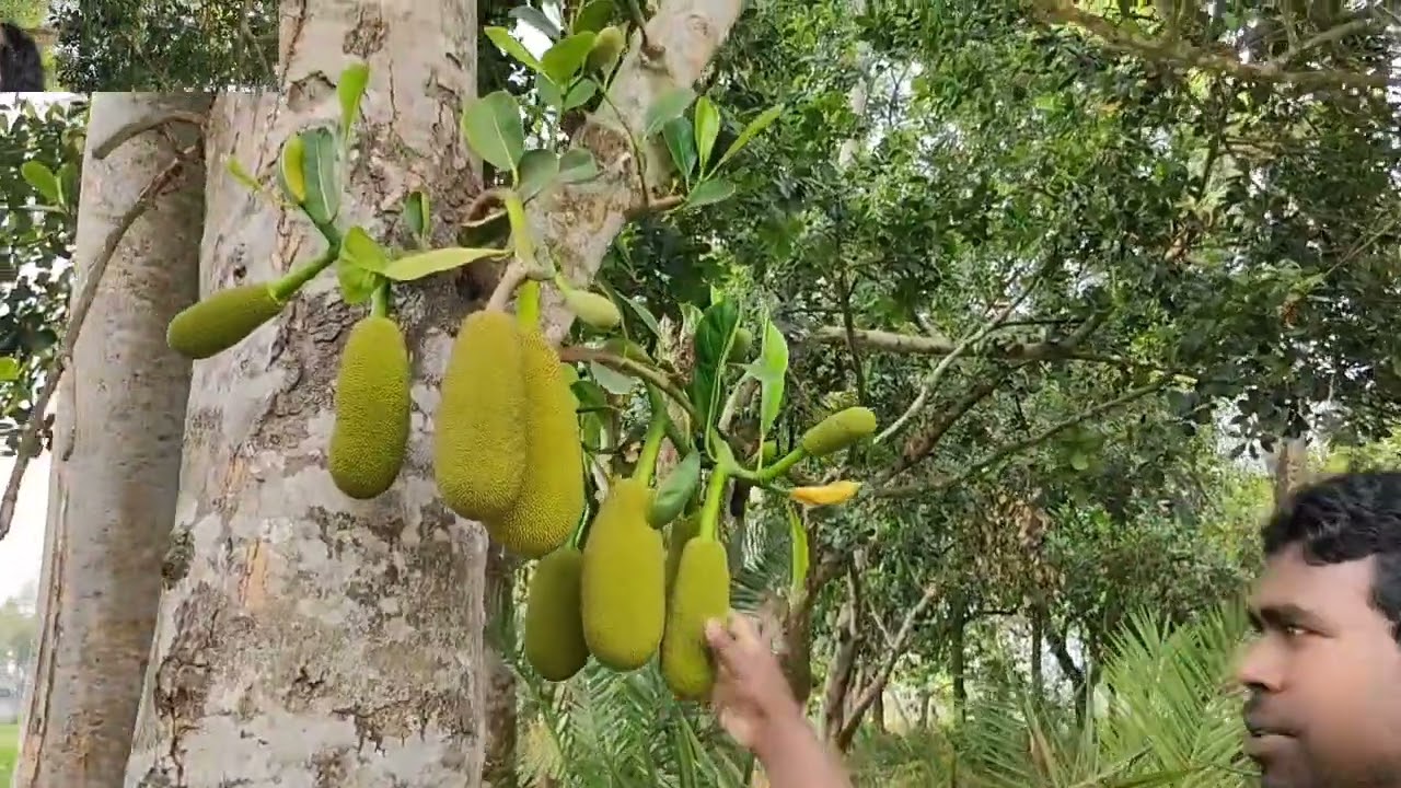 টাকার মান হিসাব #youtubevideos#