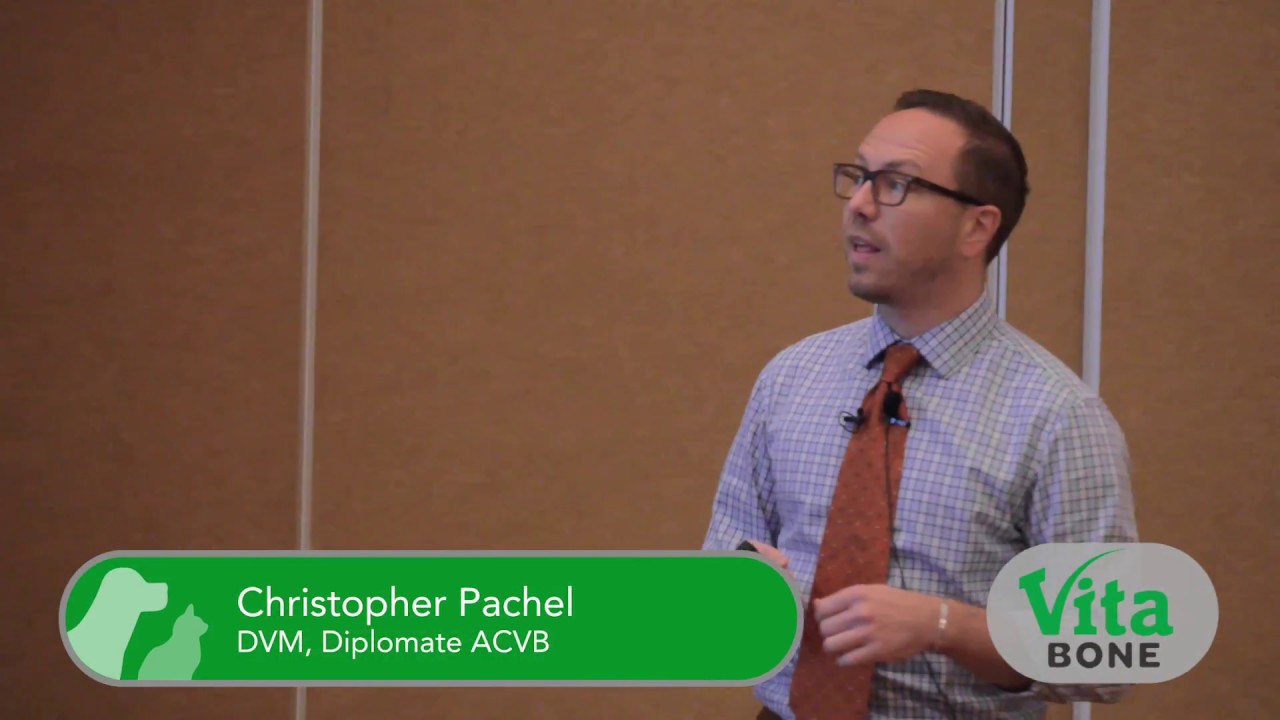 Clients Promo with Dr. Christopher Pachel - YouTube