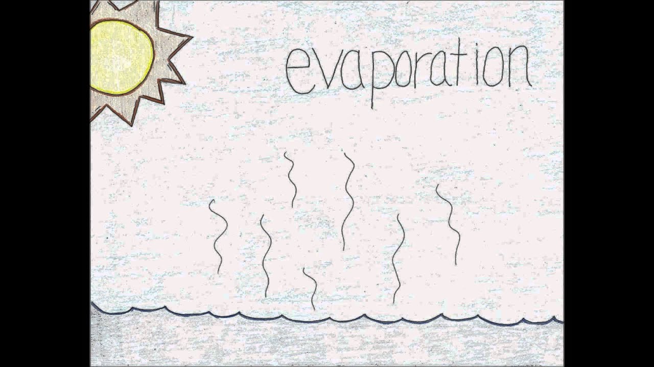 The Water Cycle song YouTube