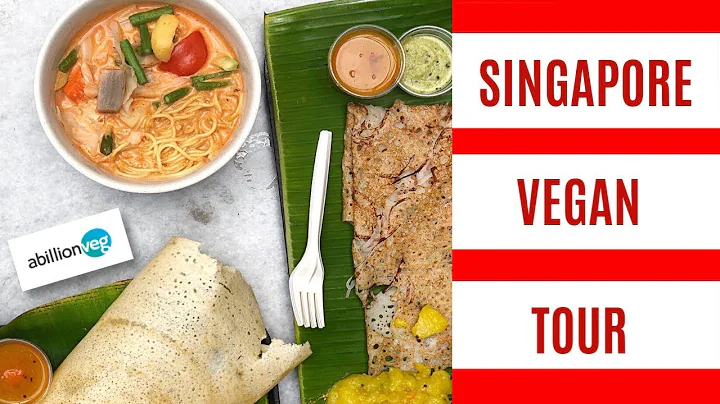 WHERE TO EAT VEGAN STREET FOOD IN SINGAPORE | VEGAN APP ABILLIONVEG VEGAN FOOD CRAWL - DayDayNews