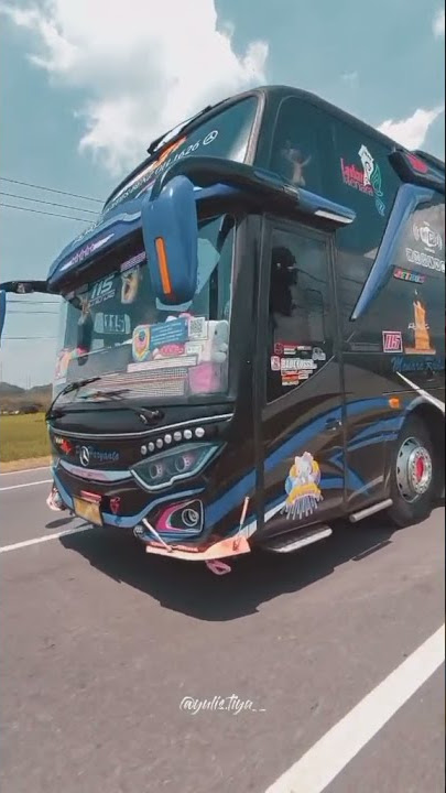 Story'wa Bus Po Haryanto WHITE ROSES