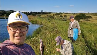 They're back biting the bait 🎣🦈