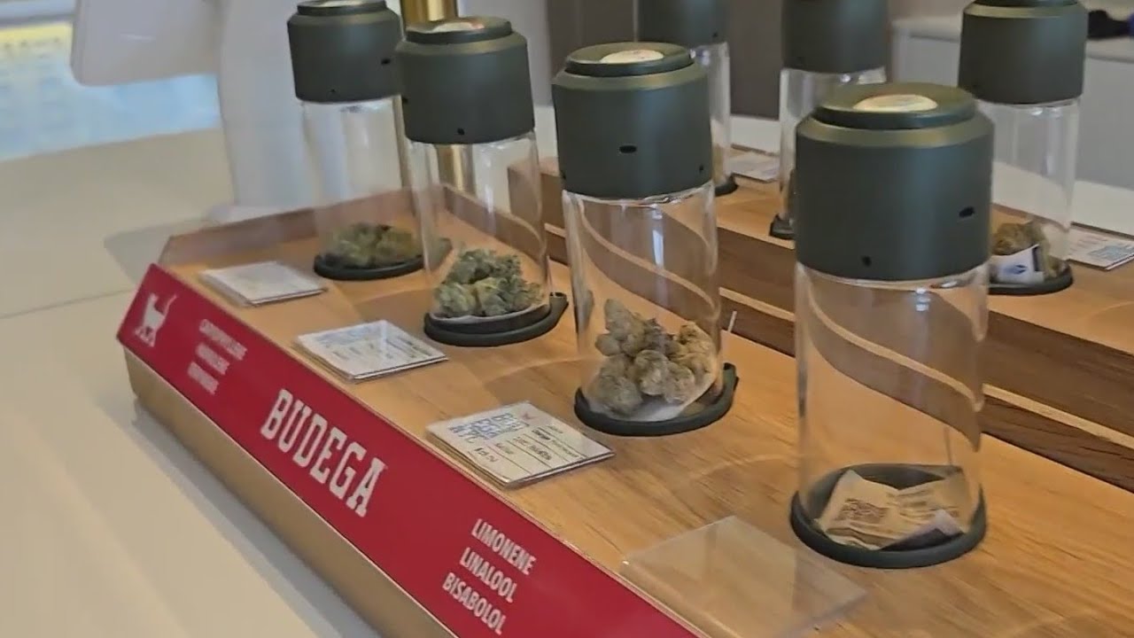 Bodega inspired dispensary opens in Brooklyn