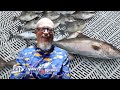 First Time Chartering, Episode 3 #frequentlyaskedquestions #faq #howto #how #charterfishing