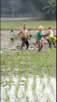 JOGET GOKIL DI SAWAH😂#jogetviral#jogetlucu#jogetkekinian#artisdunia